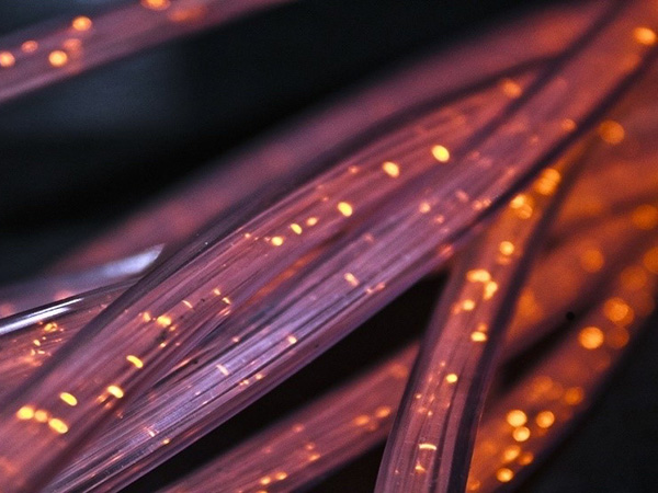 Rostelecom and VimpelCom integrate network access processes