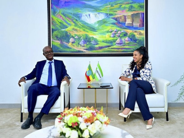 Ethio Telecom, Djibouti Telecom talk new partnership opportunities
