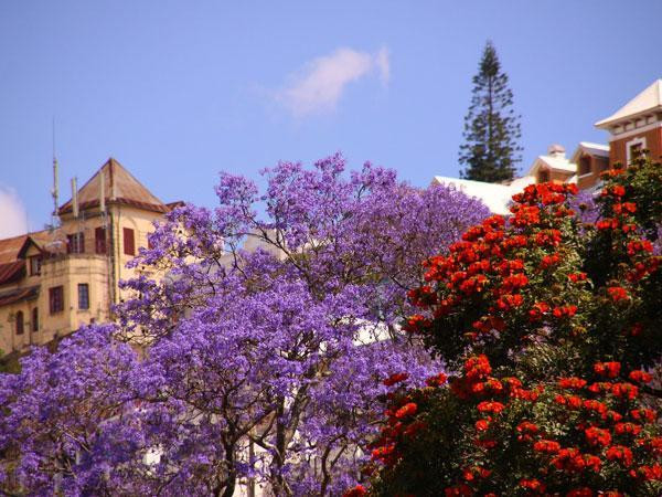 Flourishing economy boosting competition in Madagascar – R&M