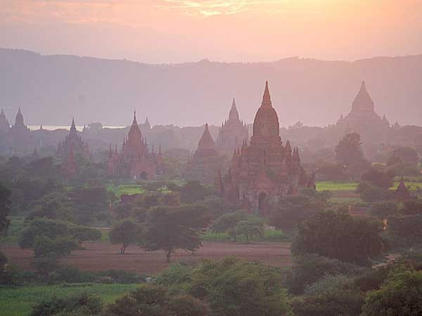 MPT selects MIMO tech as its pushes LTE-A launch