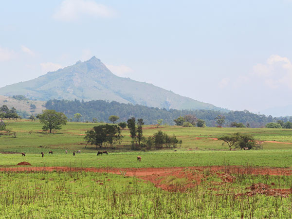 Improved internet connectivity in Eswatini sees steady growth in broadband subscribers