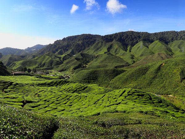 New deal aims to accelerate agricultural innovation in Africa