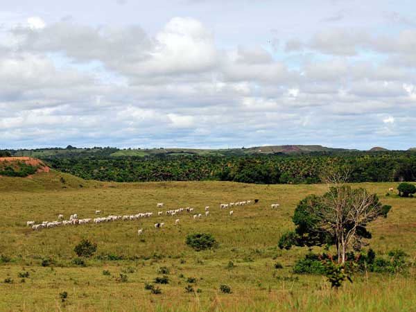 Globalsat Group to add Rivada LEO connectivity to its Americas coverage