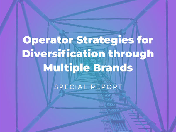 Multi brand strategies report 2024
