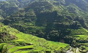 Could robotic arms improve remote coverage in the Philippines?