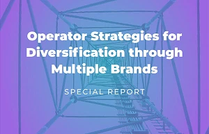 Multi brand strategies report 2024