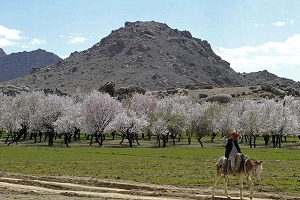 Taliban escalates internet blackout in Afghanistan