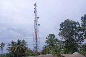 Indosat expands remote coverage with ZTE microwave backbone