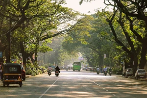 Will TRAI's recommendations influence India’s spectrum auctions?