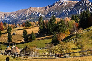 Vodafone and Orange place 4G calls on shared Open RAN sites in Romania