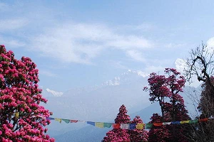 Nepal lifts block on social media sites 