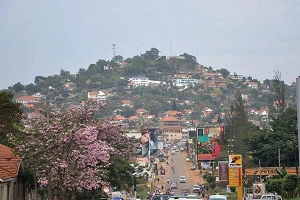 Airtel Uganda lines up 20% stake for IPO